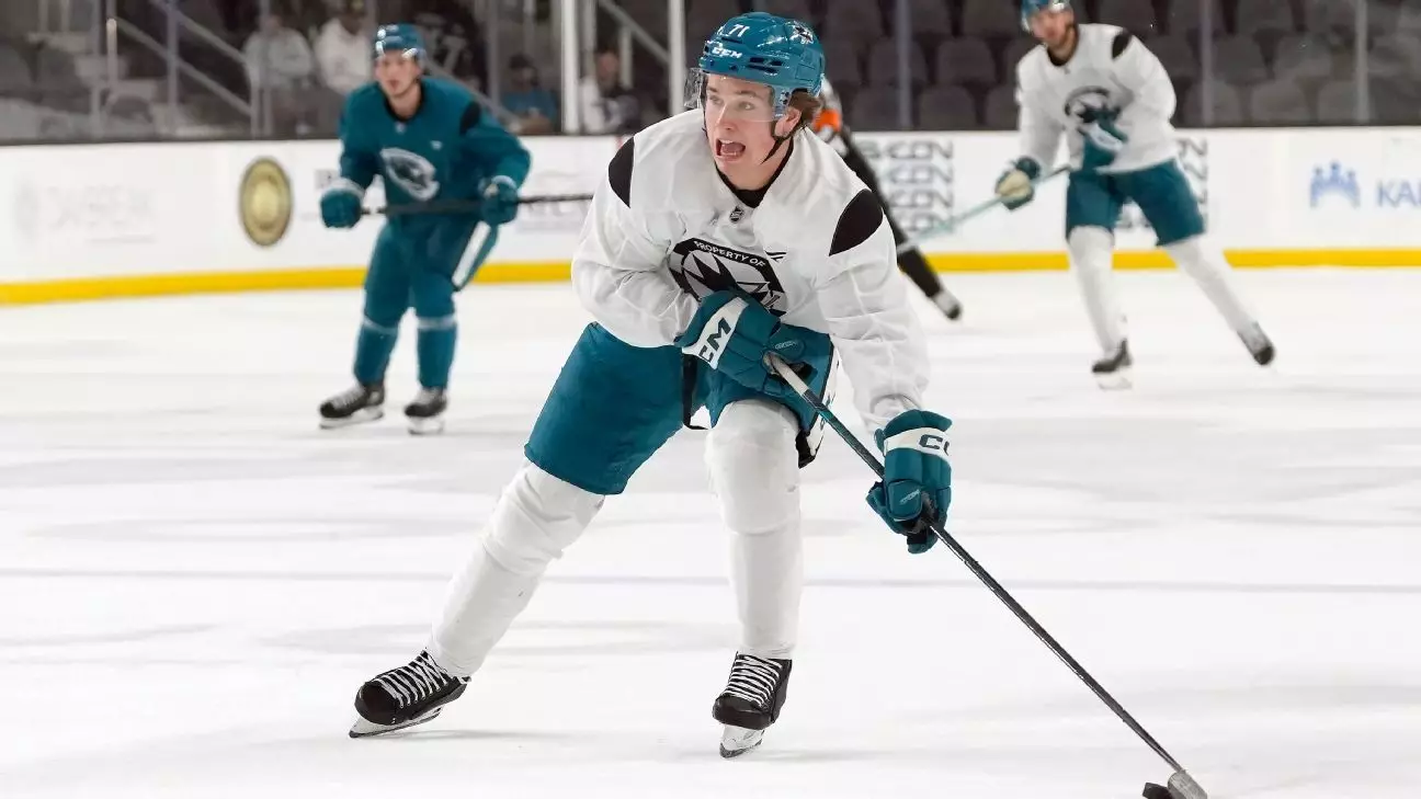 San Jose Sharks: Nová nádej a výzvy pred nadchádzajúcou sezónou NHL